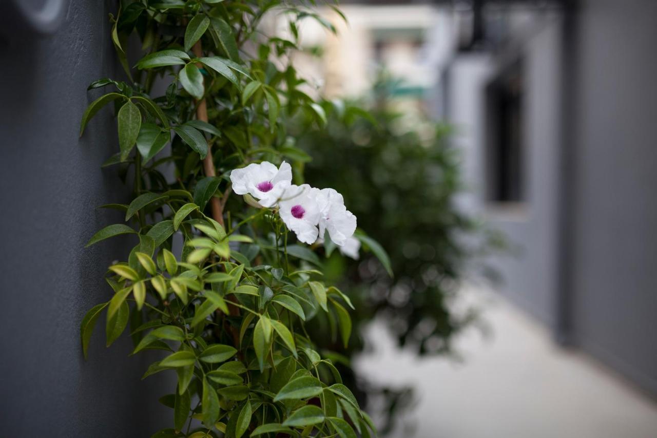 Spacious Flat With Courtyard And Private Parking! Athènes Extérieur photo